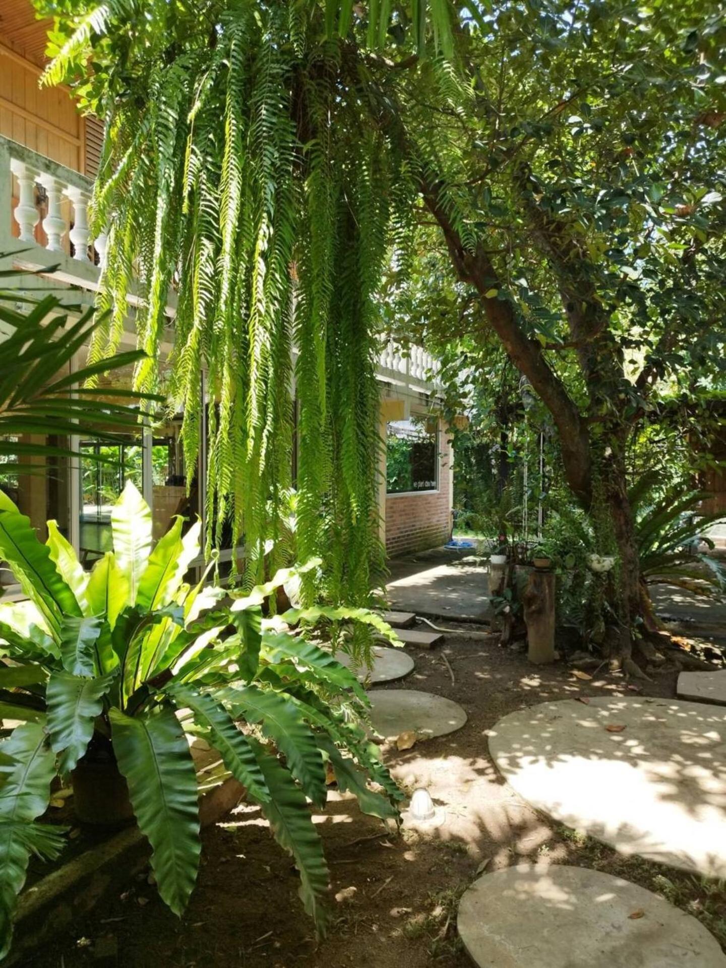 Atelier 36 Hotel Chiang Mai Ngoại thất bức ảnh